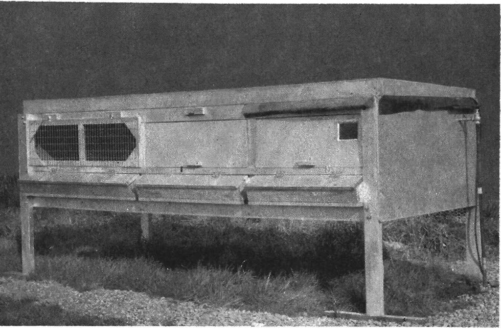 Figure 6. Outdoor or "sunshine" brooder is useful in brooding chicks for replacement in cage operations. Infrared bulbs are used in brooder for heat. of feed which encourages feed consumption.