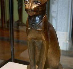 History of the Domestic Cat
