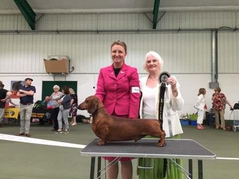 Best Veteran in Show Our Judges Ann Jefferys (Miniature Smooths and BIS) and Emma Black (Smooths) along with Best Puppy in Show Winner Marilyn Norton's Matzell Mrytle Best Veteran in Show was Claire