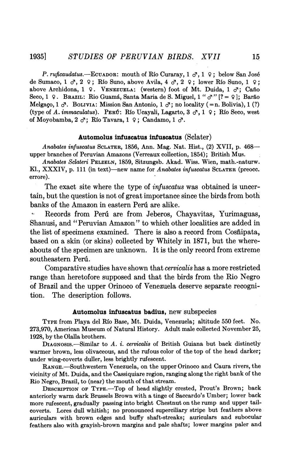 1935] STUDIES OF PERUVIAN BIRDS. XVII 15 P. ruftcaudatus.