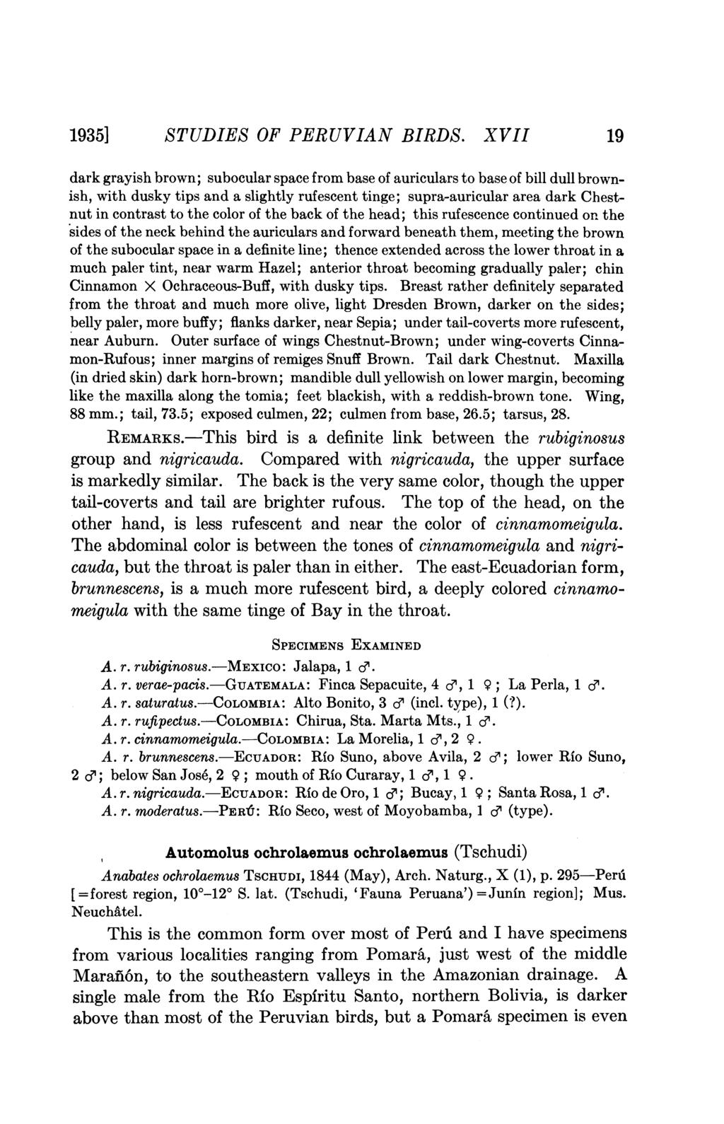 1935] STUDIES OF PERUVIAN BIRDS.