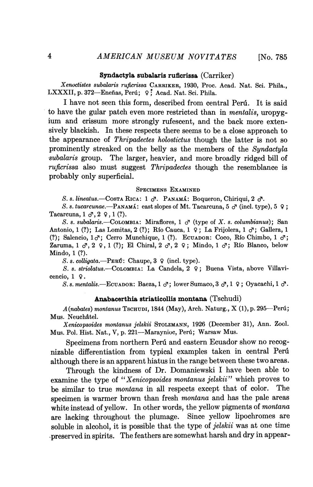 4 AMERICAN MUSEUM NOVITA TES [No. 785 Syndactyla subalaris ruficrissa (Carriker) Xenoctistes subalaris ruficrissa CARRIKER, 1930, Proc. Acad. Nat. Sci. Phila., LXXXII, p. 372-Enefias, Peru; 9; Acad.