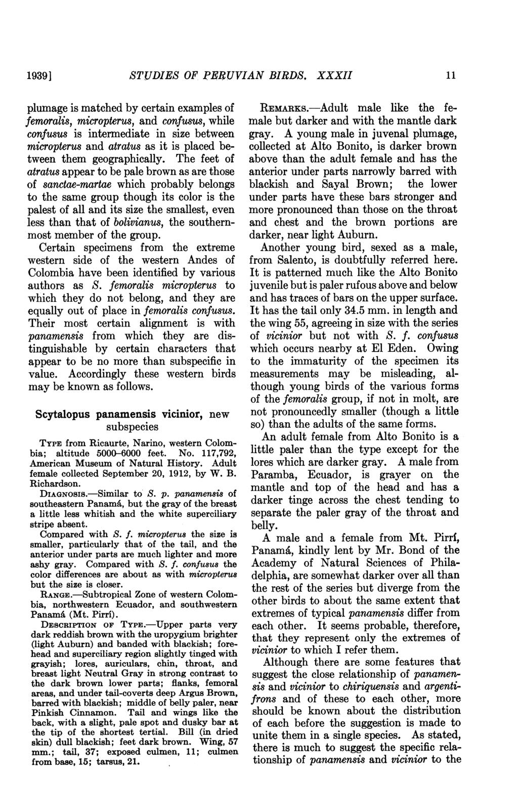 19391 STtUDIES OF PERUVIAN BIRDS.