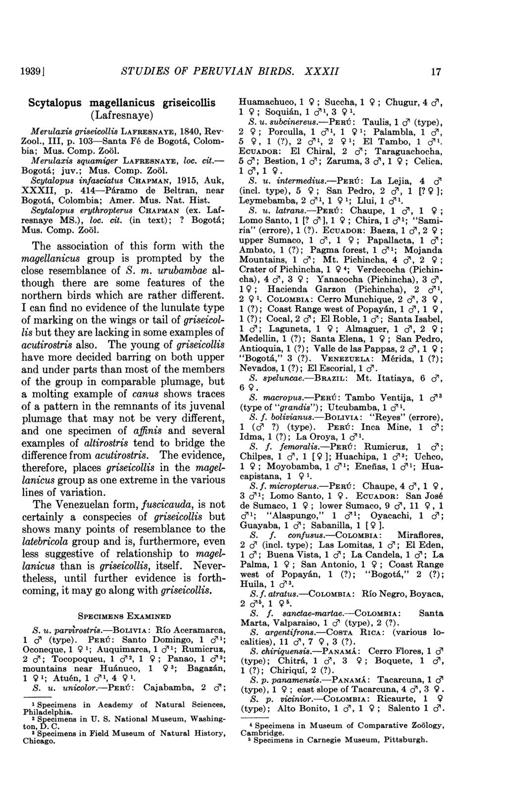 19391 STUDIES OF PERUVIAN BIRDS. XXXII 17 Scytalopus magellanicus griseicollis (Lafresnaye) Merulaxis griseicollis LAFRESNAYE, 1840, Rev- Zool., III, p. 103-Santa Fe de BogotA, Colombia; Mus. Comp.