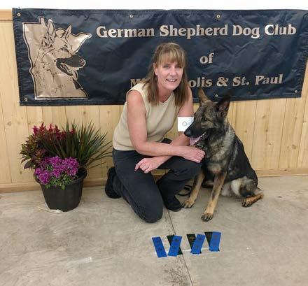 of the German Shepherd Dog Club trial went very well again.