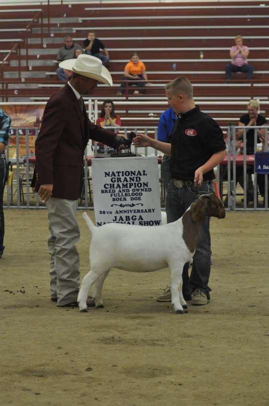 S126 N/A $500 Open doe, dam of Catniss, 2014 National Champion Bred & Owned female and dam
