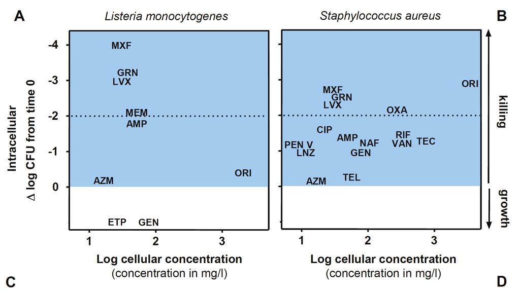 To make a long story short: can we predict intracellular activity as a function of the accumulation AMP=ampicillin; AZM=azithromycin; CIP=ciprofloxacin; ETP=ertapenem; GEN=gentamicin;