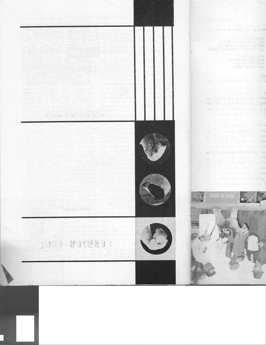 Volume YI, Number 12 December, 1967 DANIEL KIEDROWSKI - Editor and Publisher 4961 OLD DUBLIN ROAD, HAYWARD, CALIFORNIA 94546 PHONE: 415-581-6062 Second Class Postage Pa id at Hayward, California