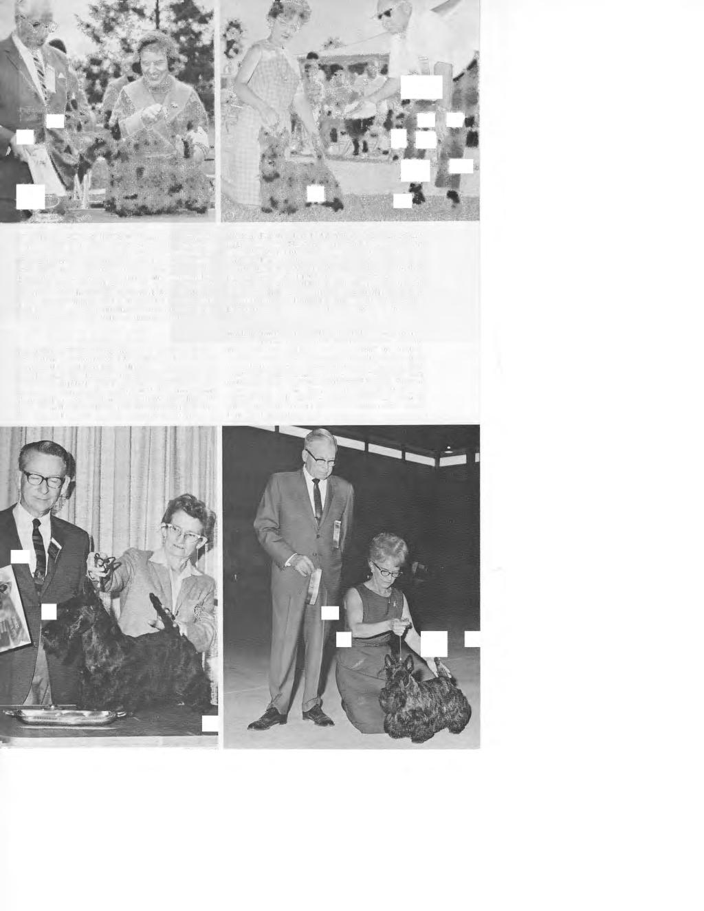 CH. REVRAN REPRISE wins her second Specialty of 1967 by topping 79 Scotties at the S.T.C.A. Specialty under breeder-judge,!\'ir. Robert Sharp, handled by her breeder and co-owner, Constance Swatsley.
