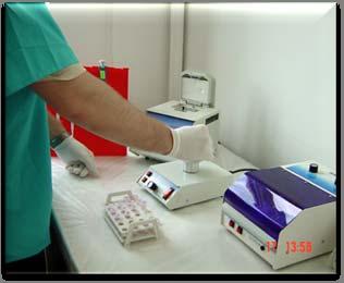 Diagnostics Virology Laboratory Now the