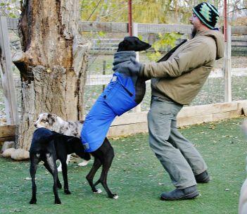 It is advisable to bring your dogs coat in with them. We do have a supply of coats we will put on them if we think they need it.