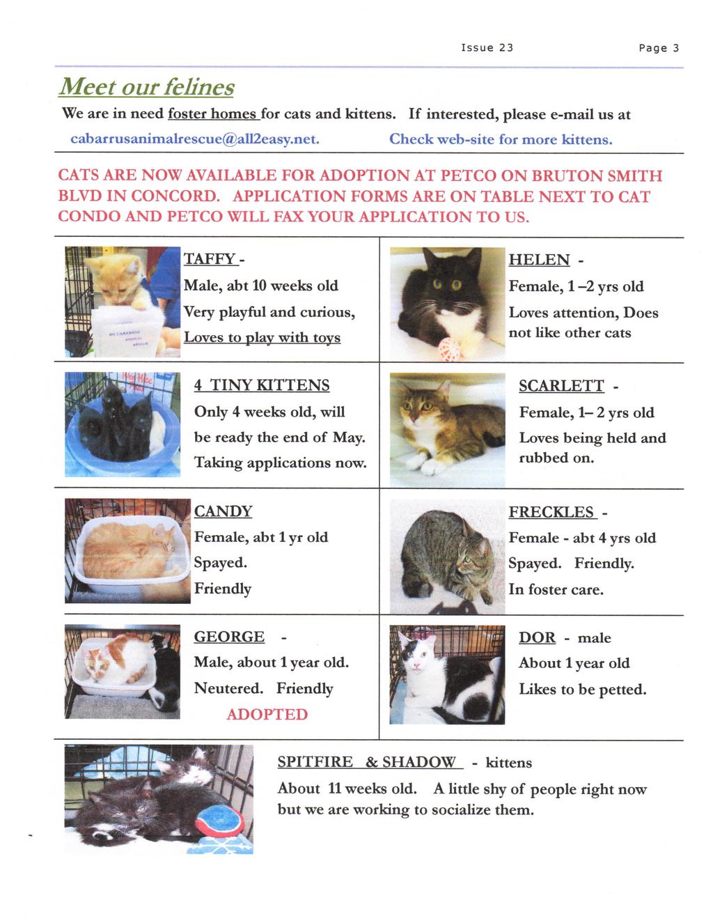 Meet our felines Issue 23 Page 3 We are in need foster homes for cats and kittens. If interested, please e-mail us at cabarrusanimalrescue@all2easy.net. Check web-site for more kittens.