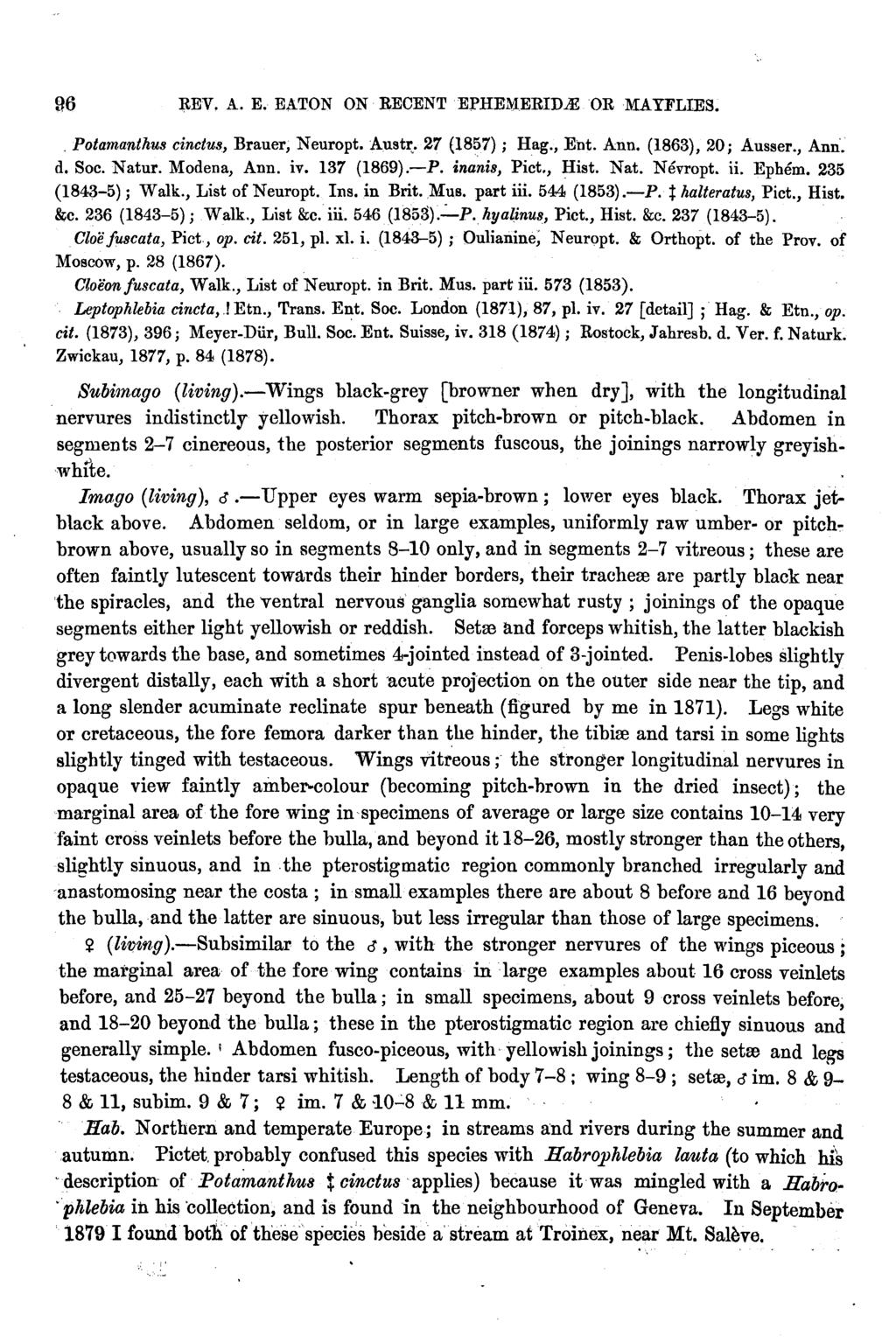 96 l,tev, A. E. EATON ON RECENT EPHEMERID OR MAYFLIES., Potamanthus cinctus, Brauer, Neuropt. Aust~. 27 (1857); Hag., E'nt. Ann. (1863), 20; Ausser., Ann'. d. Soc. Natur. Modena, Ann. iv. 137 (1869).