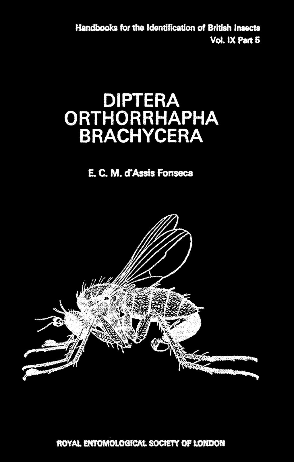 ORTHORRHAPHA BRACHYCERA