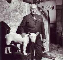 General George S. Patton, Jr. was an animal lover with a particular attraction to bull terriers.