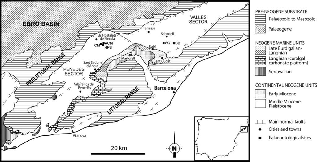 318 A. H. LUJ AN ET AL. Figure 1. Schematic geological map of the Valles-Penedes Basin, showing the location of sites that have yielded remains of Testudo (Chersine) catalaunica.