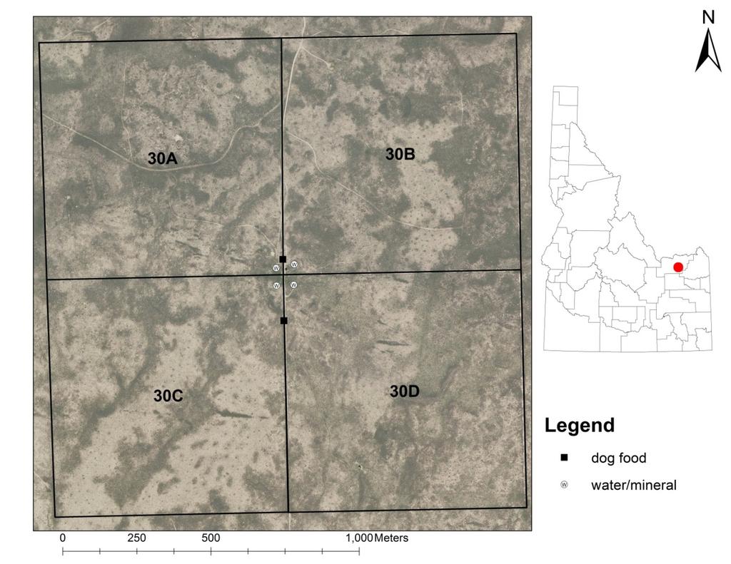 Figure 1.3 Map of four pastures (65 ha each), located at the U.S. Sheep Experiment Station near Dubois, Idaho.
