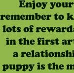 5 Send your puppy to his crate from different angles until you are sending from behind his crate. Enjoy your puppy and remember to keep it fun with lots of rewards!