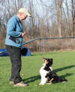 handlers for the behavior that is desired along with accurate obstacle performance.