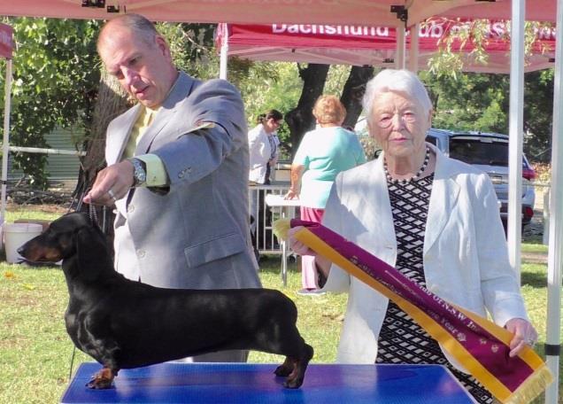 The 134 th Championship Show was once again held in conjunction with Dogs NSW Spring Fair. The judge here was Dr Toyohiko Watanabe from Japan.