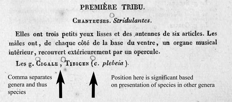 109 Fig. 1. Section of Latreille (1825, p. 426) illustrating the first use of Tibicen as a generic name with C. plebeja associated with the genus.