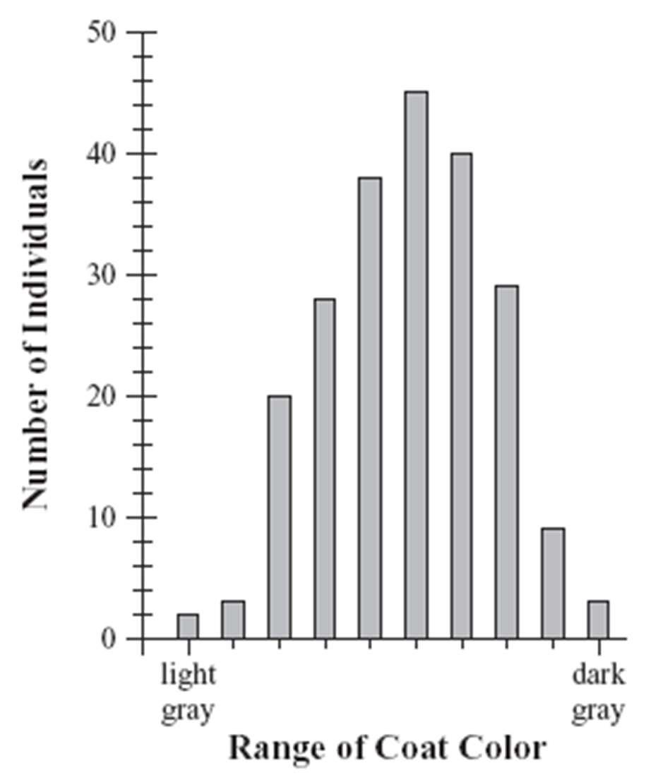 20. The graph below relates the number of gray squirrels in a small population to their coat colors.