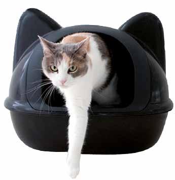 GRI Cushion Cushion for cat
