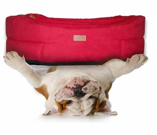 CLASSIC BEDDINGS FOR DOGS Classic Range All you need at the best
