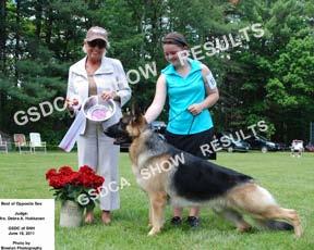 BEST OF BREED 195 Abs CH LAUGH AND THE WHOLE WORLD LAUGHS OF EDAN DN24134307 02/28/09 Breeder(s): Ann Schultz (Dog) By: Sel CH Mechanical Bull of Edan, RN ROM x No Laughing Matter of Edan, ROM