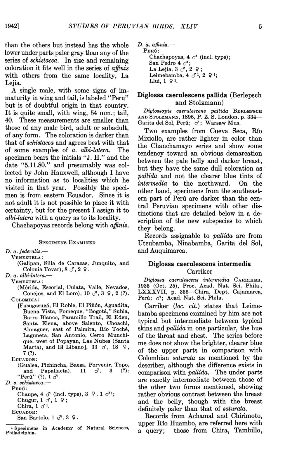 19421 STUDIES OF PERUVIAN BIRDS. XLIV 5 than the others but instead has the whole lower under parts paler gray than any of the series of schistacea.