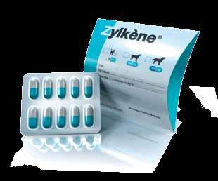 Zylkène is a complimentary feed for cats and dogs. Zylkène is a trademark of Intervet International B.V.