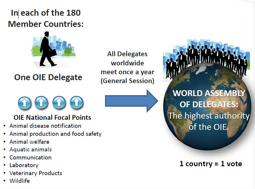 World Assembly of OIE Delegates World Organisation for