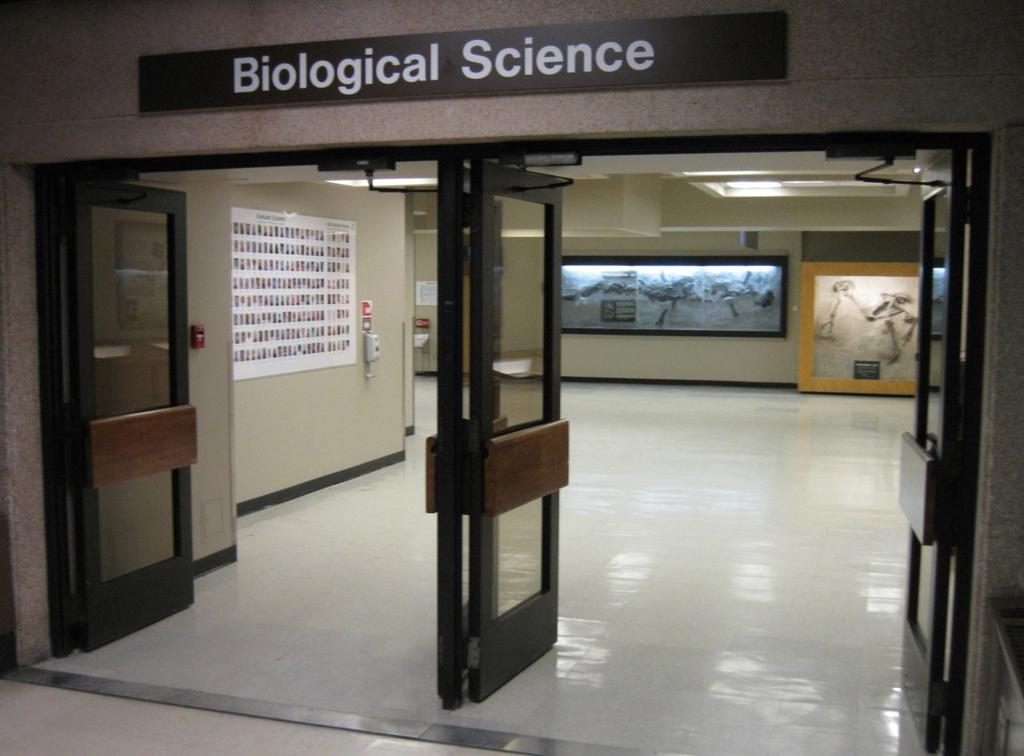 Betsy s legacy to the department of Biological Sciences,