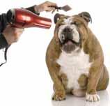 thick-coated dogs, you can blow dry the pet with a PET SAFE HAIR DRYER. It is important to NOT use a human hair dryer, as the heat can be dangerous or burn sensitive skin.
