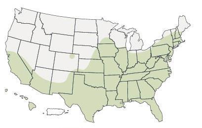 Estimated Range of Aedes aegypti and Aedes albopictus Mosquitoes in the United States