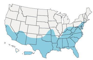 These maps represent CDC s best estimate of the potential range of Aedes aegypti and