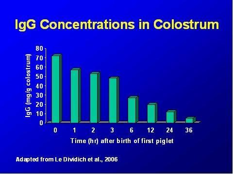 Improve Colostrum intake = improve resistance In 6