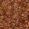 Peeled sunflower seeds contain no less than 44,5 raw fat and 27,5 raw protein.