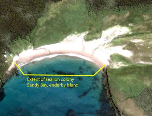 Appendix 4: Description of breeding area searched during pup counts at Sandy Bay, Enderby Island, 2017/18 The following figure provides a graphical presentation of the entire breeding area searched