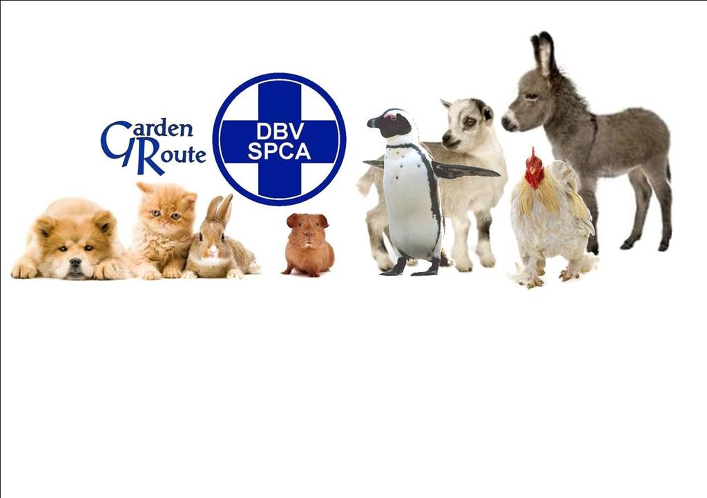NEWS & UPDATES MARCH 2016 SPCA HAS CHANGED ITS BANKING DETAILS.