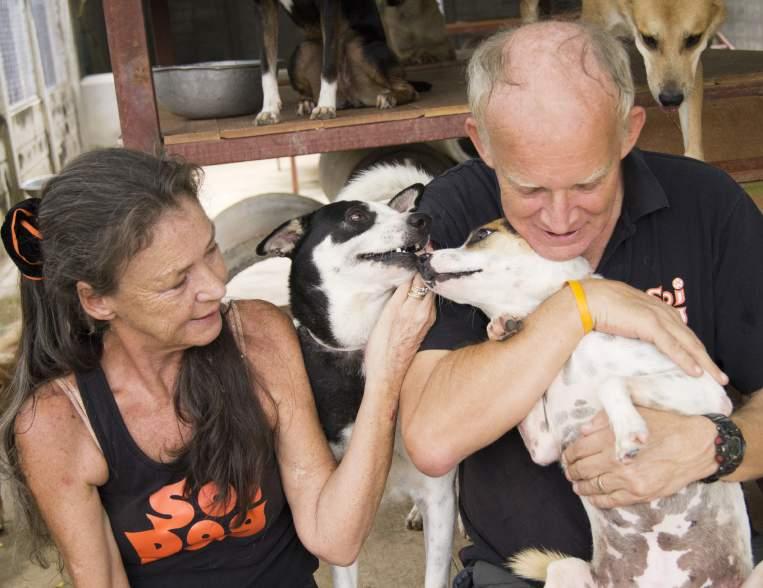 The Beginnings of Soi Dog Soi Dog Foundation (Soi Dog) was established in 2003 in Phuket, Thailand, by John and Gill Dalley from the UK and Dutch retiree Margot Homburg, to help the street dogs and