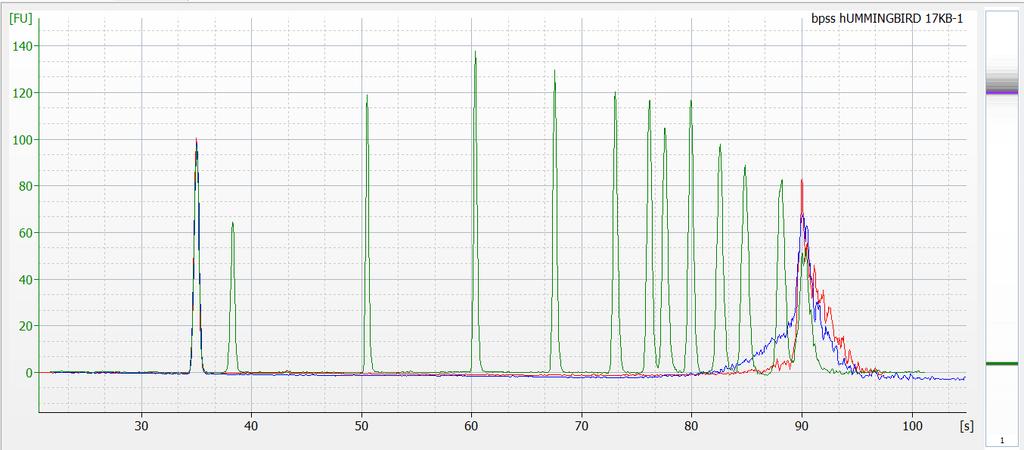 Bioanalyzer plot of hummingbird SMRTbell library 5kb 7kb 17kb 10kb Blue: SMRTbell library