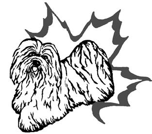 SPECIALTY SHOWS SPECIALTY SHOW HAVANESE FANCIERS OF CANADA Saturday, April 6, 2019 JUDGE & ASSIGNMENT Igor Selimovic Selska 39, 10344 Strmec Samoborski, Zagreb, Croatia HRAll Official All Official