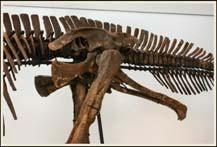 Ornithischian diapsids
