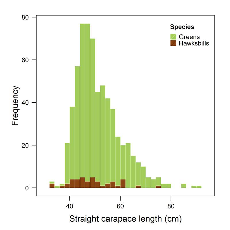 276 PACIFIC SCIENCE July 2017 Figure 3. Frequency (number of turtles) distribution of straight carapace length for green and hawksbill turtles captured in the CNMI from August 2006 to February 2014.