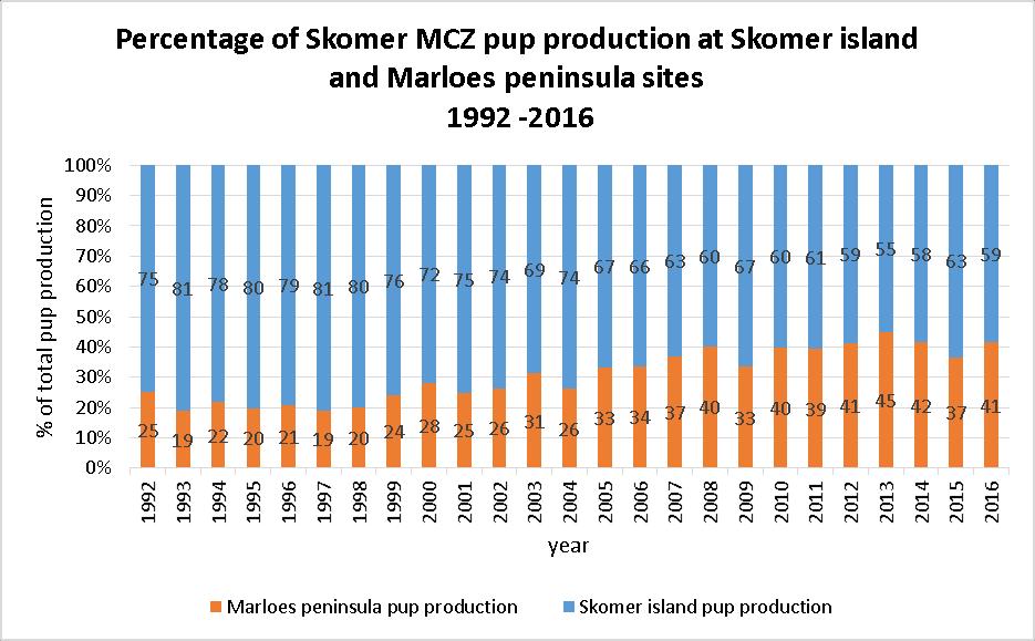 Pup production at the Marloes peninsula sites versus the Skomer island sites expressed as a percentage of the total pup production for the Skomer MCZ is shown in Figure 3.