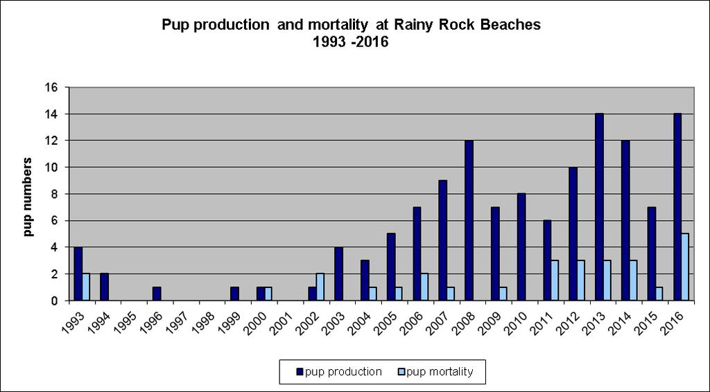 Figure 29 Pup production and mortality at Rainy Rock beaches 1993 to 2016 Seal pups have been recorded at Rainy rock beaches since 1992 and from 2005 the area has increased in popularity with the