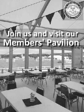 Have you thought of becoming a member of Stithians Show?