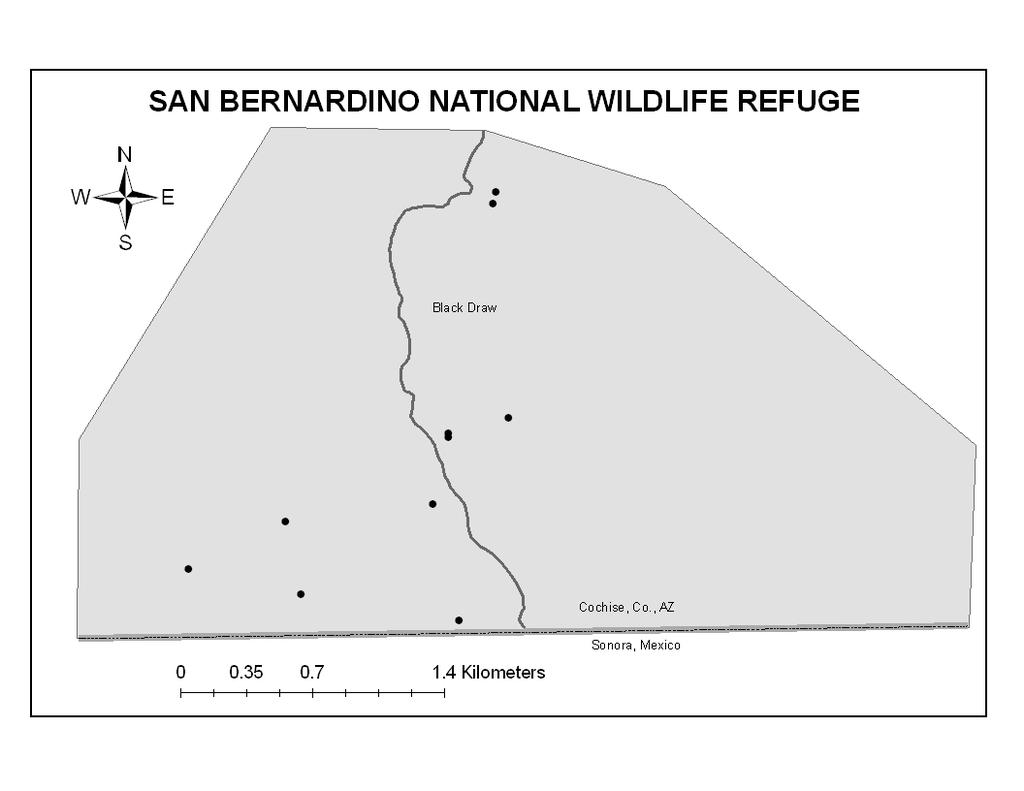 FIGURE 3. The San Bernardino National Wildlife Refuge study area located near the edge of the Peloncillo Mountains.