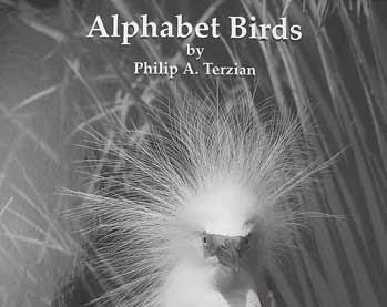 Alphabet Birds: Book for Kids The newest treasure SWAP is selling is this wonderful book by Philip A. Terzian with gorgeous pictures of birds, one for each letter of the alphabet.